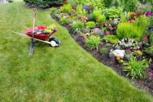 what kind of topsoil do i need for my garden