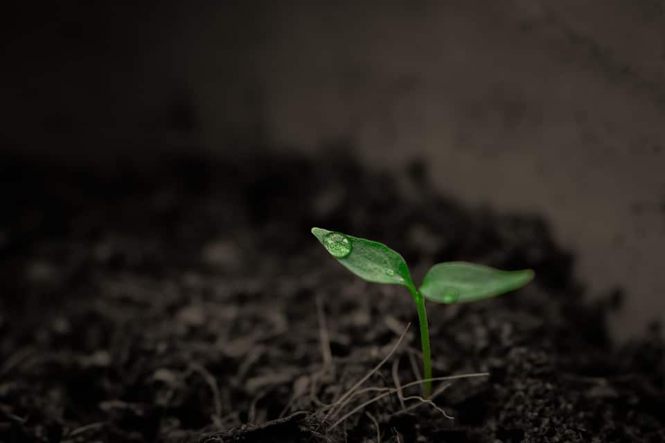 What is topsoil made of 